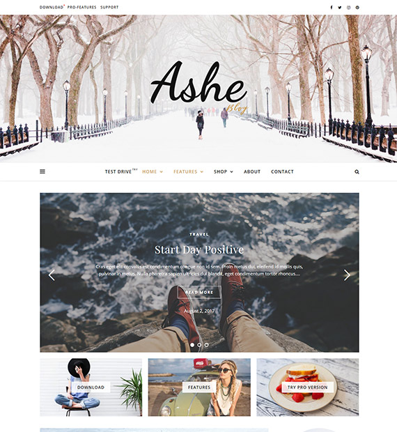 Ashe-Blog-WordPress-Theme