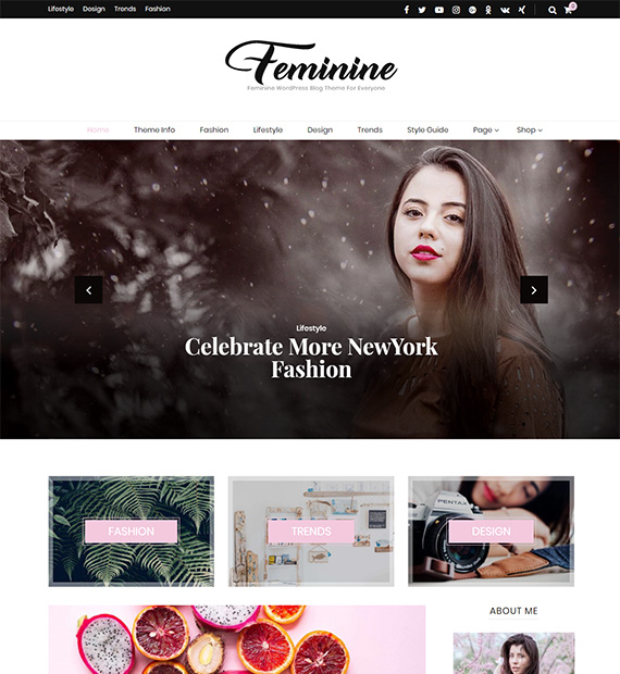 Blossom Feminine-Blogging-WordPress-Theme
